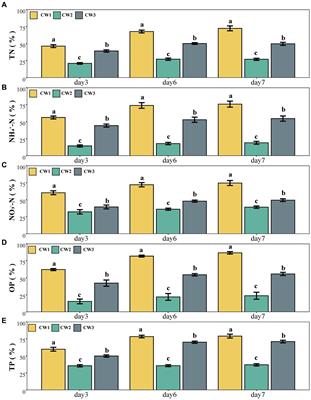 Composition of the microbial community in surface flow-constructed wetlands for wastewater treatment